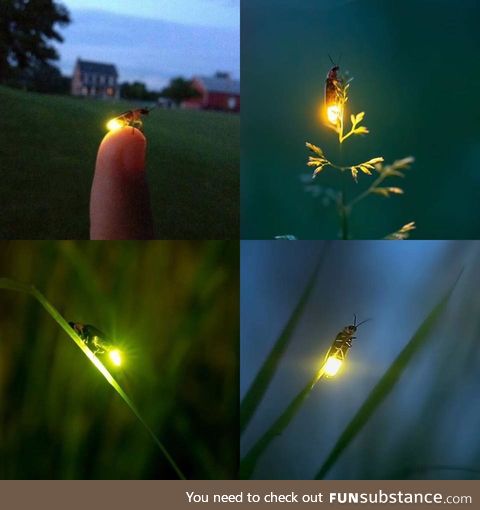 Light please !