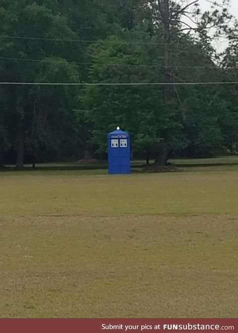 So this just showed up in my backyard