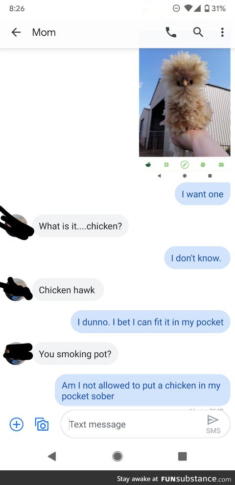 Conversation with my mom while high