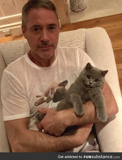 Iron Man and Black Panther