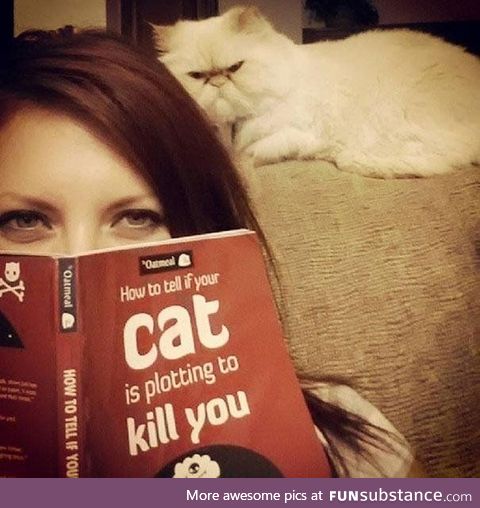 20 signs that your ....Cat is plotting to kill you! .
