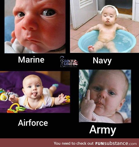 Which are you ?