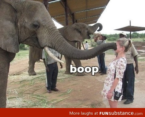 That's a big boop