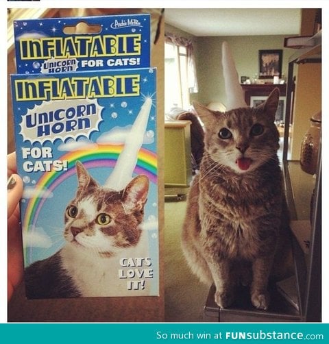 1. Buy a cat 2. Buy unicorn horn 3. Make a catcorn