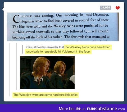 Don't mess with the Weasley twins