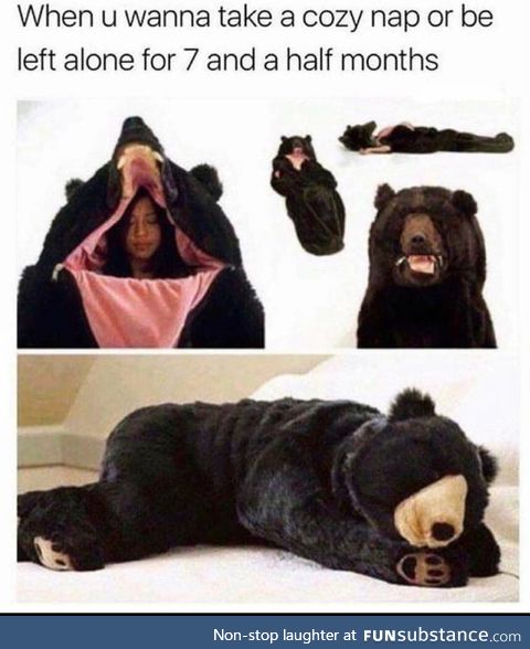 If you love bear and furry
