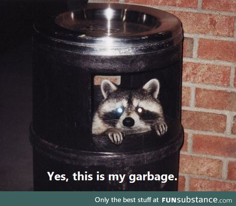 When your shitty OC gets 6 upvotes, but you refuse to steal memes