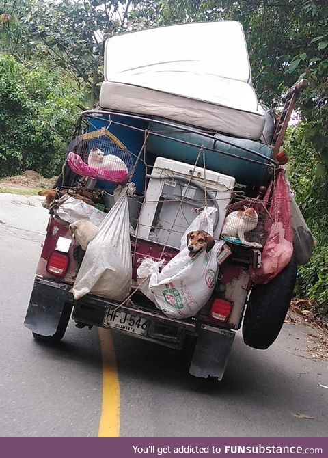 Never leave them behind.
