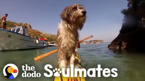 Nirvana: Kayaking around the world with a stray dog