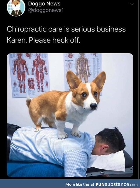 Dogtor
