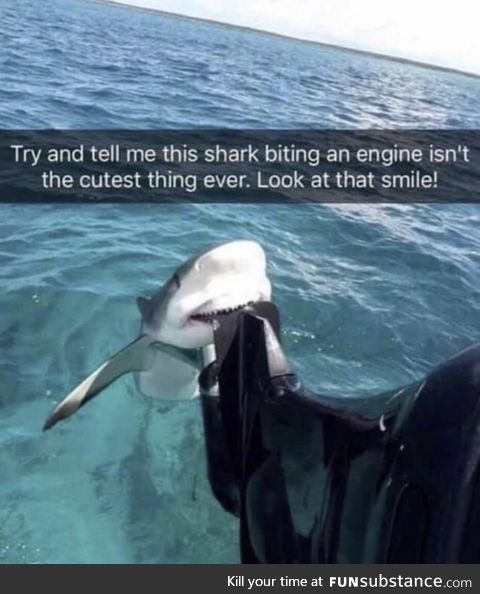 Look at that smile