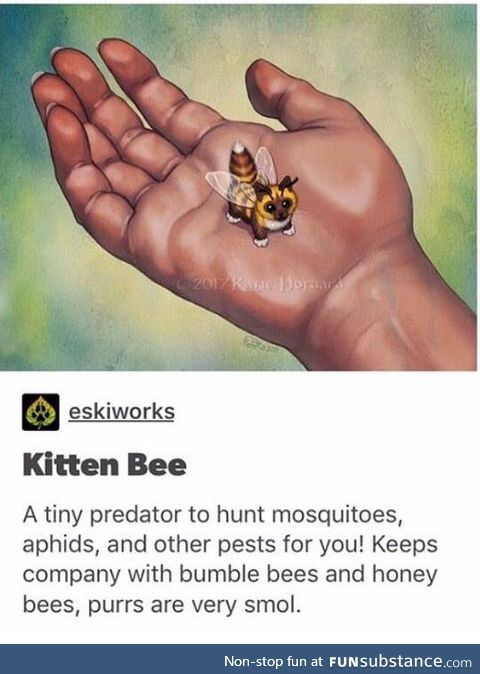 Bzzz