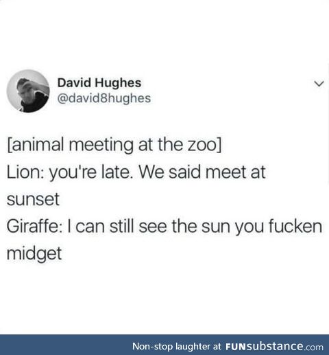 I'm the lion