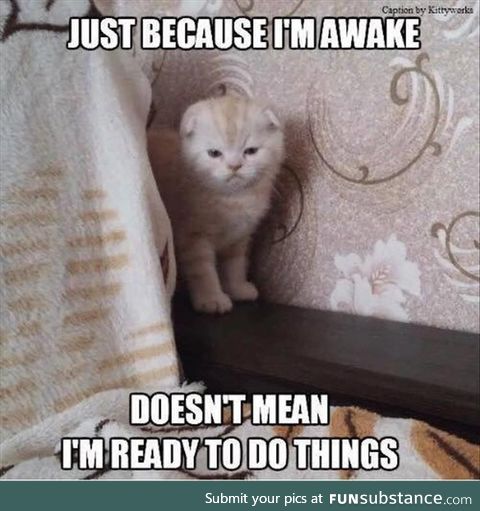 This is me at work today