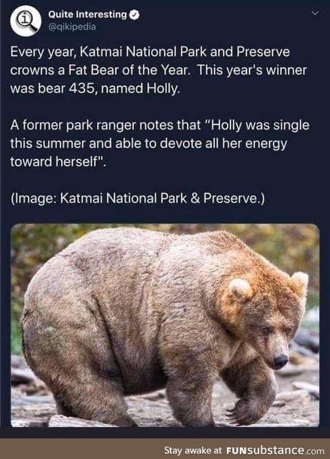 She’s a strong independent bear