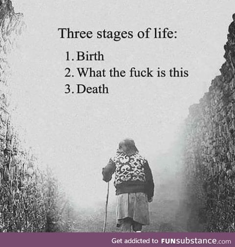 The 3 stages