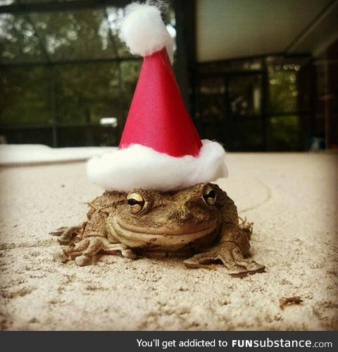 Froggo Fren #75 - Another Santa Frog?