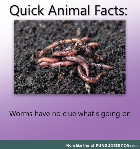 Turns out I might be a worm