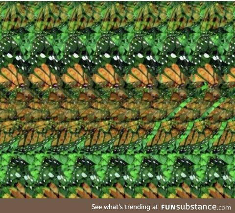 Hold your nose to the screen, then slowly bring your screen away