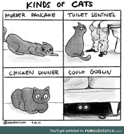 Kitties
