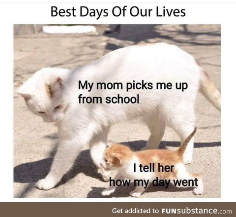 Right in the feels