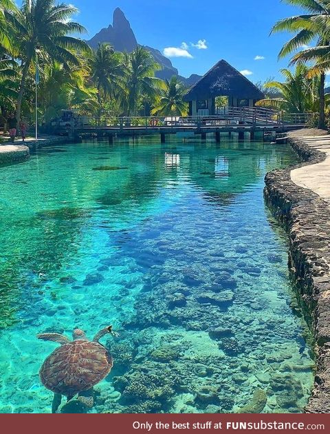 Simply Bora Bora