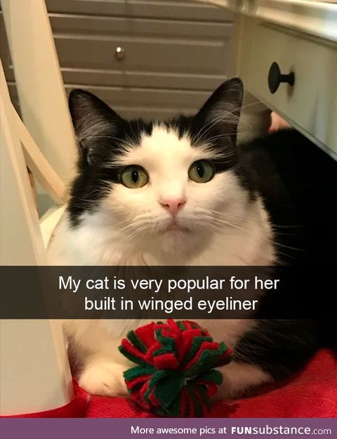Pretty kitty