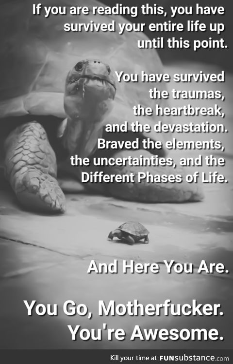 Standing in the Wake of Devastation. You've Survived