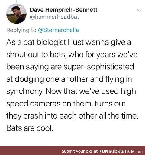 Bats became clumsy due to advancements in science