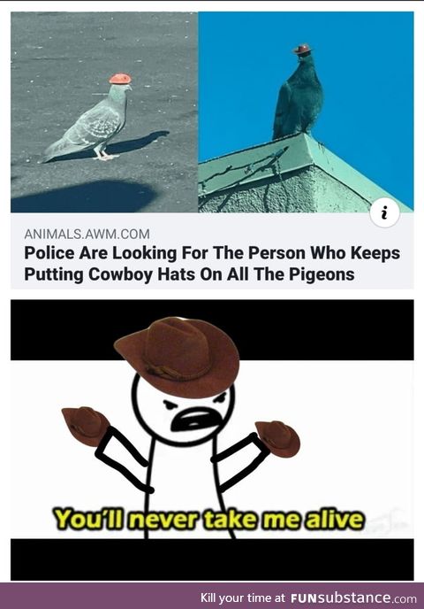 A madlad cowboy