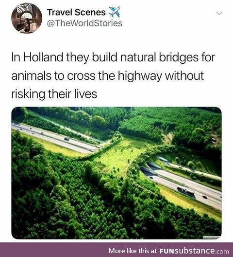 Holland Natural Animal Crossing Bridges