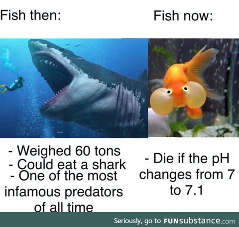The sad truth