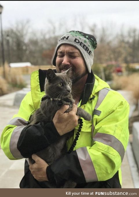 Cat lost in Ohio reunited in New York with owner thanks to microchip