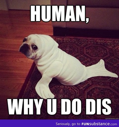 Pls stop it human