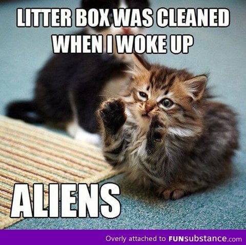 Aliens everywhere