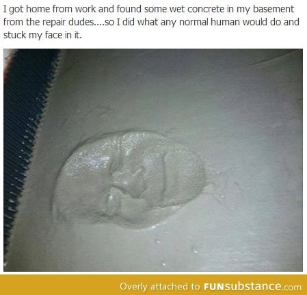 Anyone would do it too