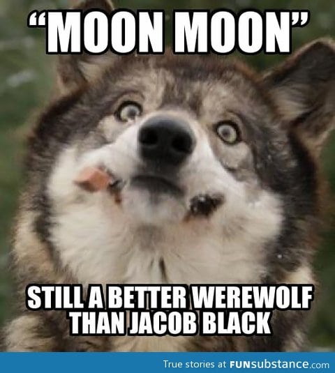 Moon Moon still a better werewolf