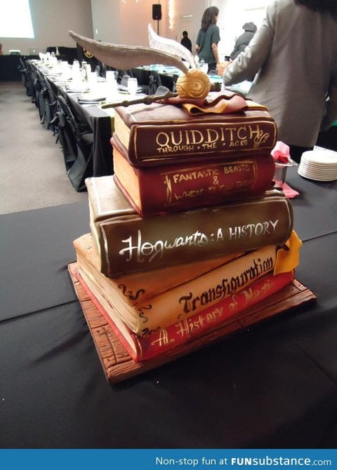 Epic harry potter cake