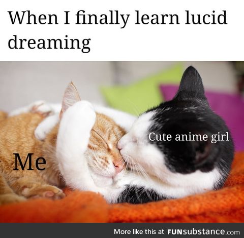 The real reason to learn lucid dreaming