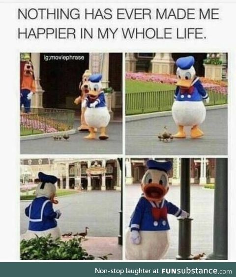 Ducks at Disney with Donald