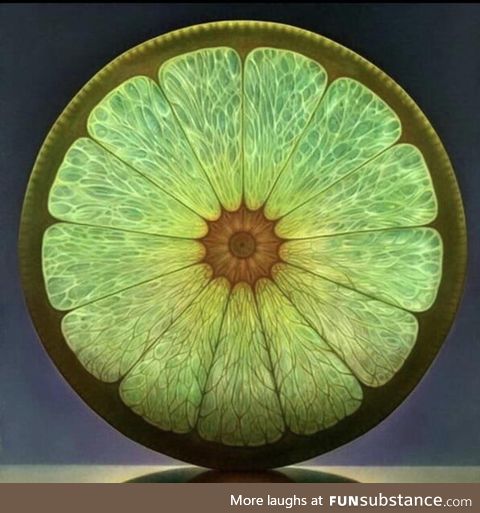 This slice of a lime