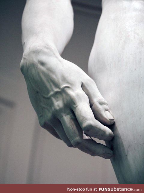 The details of the hand of David by Michelangelo. The marble statue was completed in
