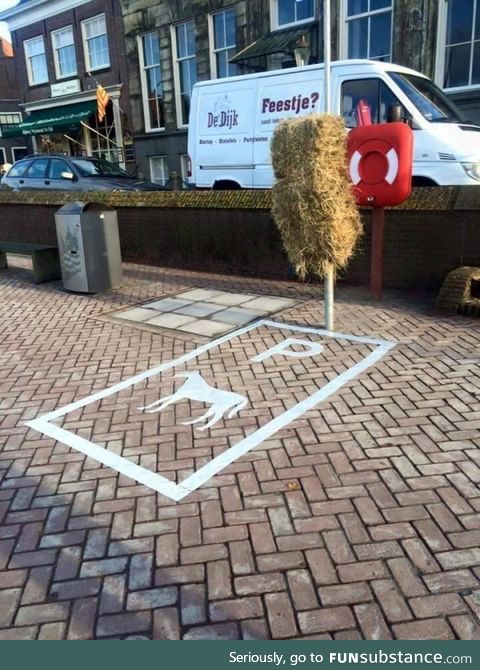 Parking spot for horses in the Netherlands