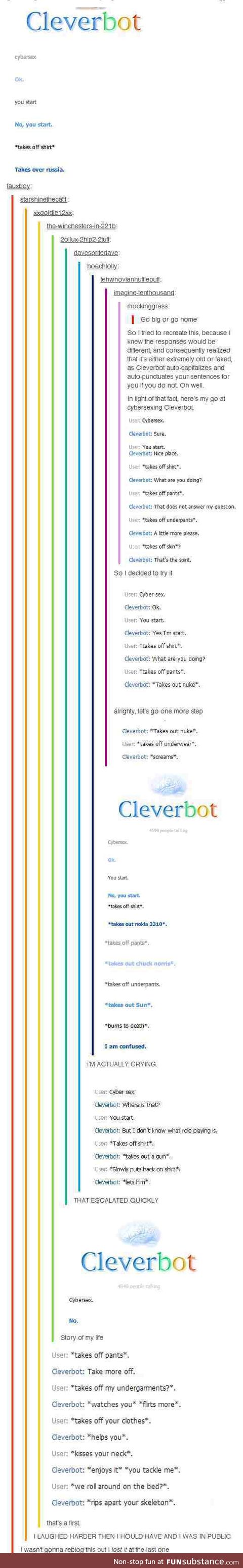 Cleverbot Cybersex. (You will need armour, I think. And something to bite down on.)