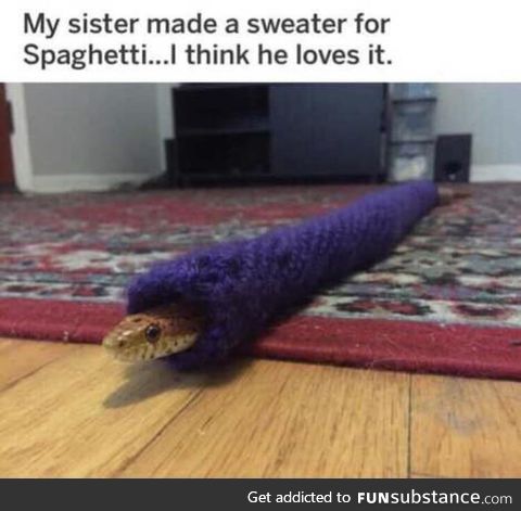 Snake noodle likes to be warm too