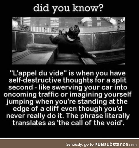 I'm not suicidal, I just want to answer the voids call