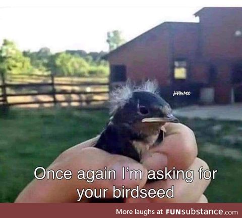 Once again I am asking for your birdseed