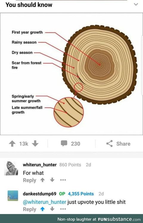 Knowledge is precious