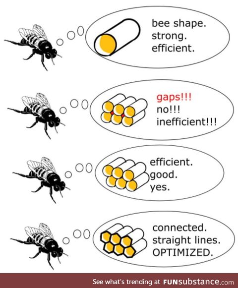 If we could only optimise the code as easily as bees