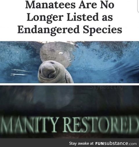 Manatee Restored